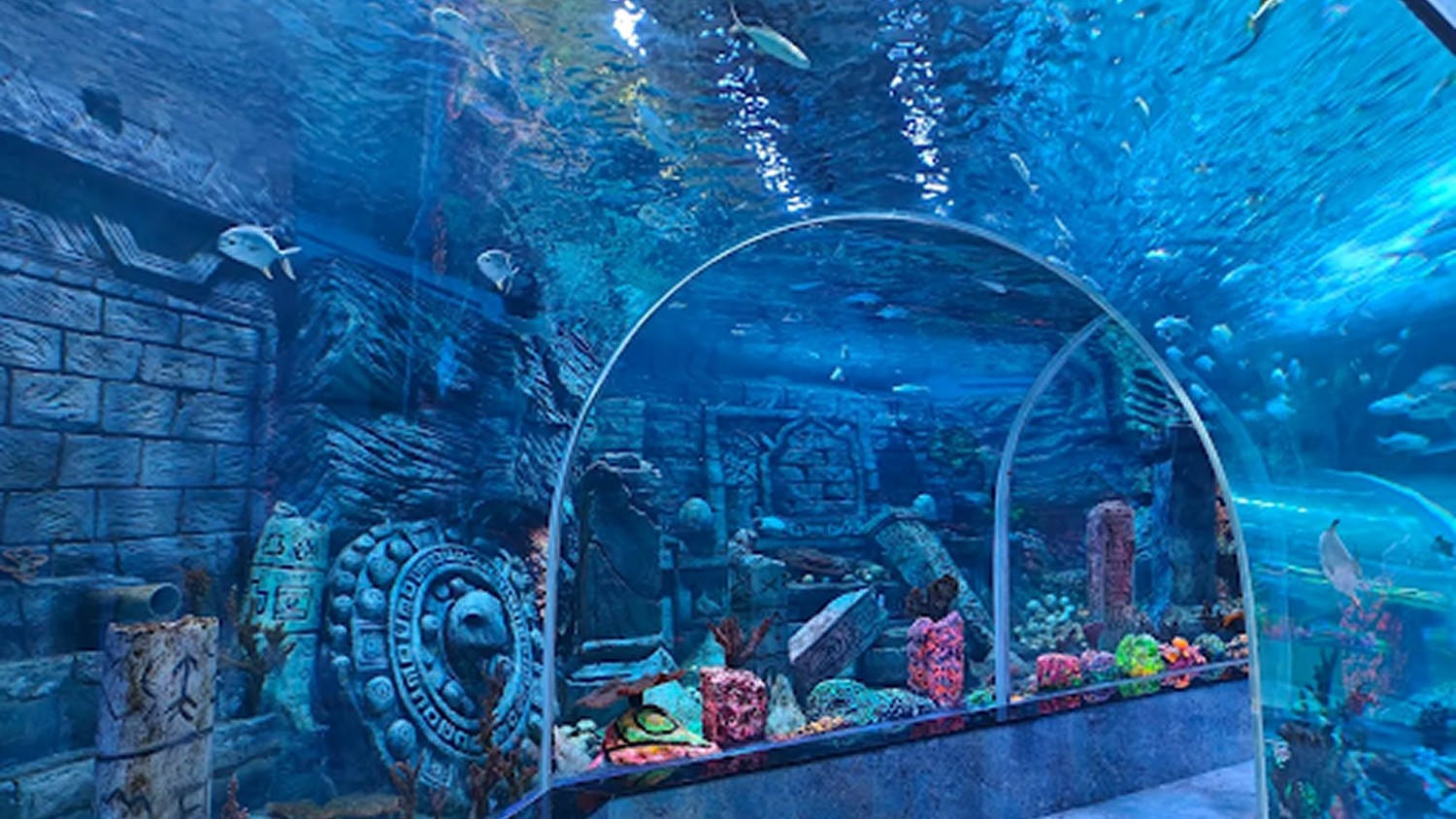Aquarium Paradise – Creative Calm-Down & Conversation Starter